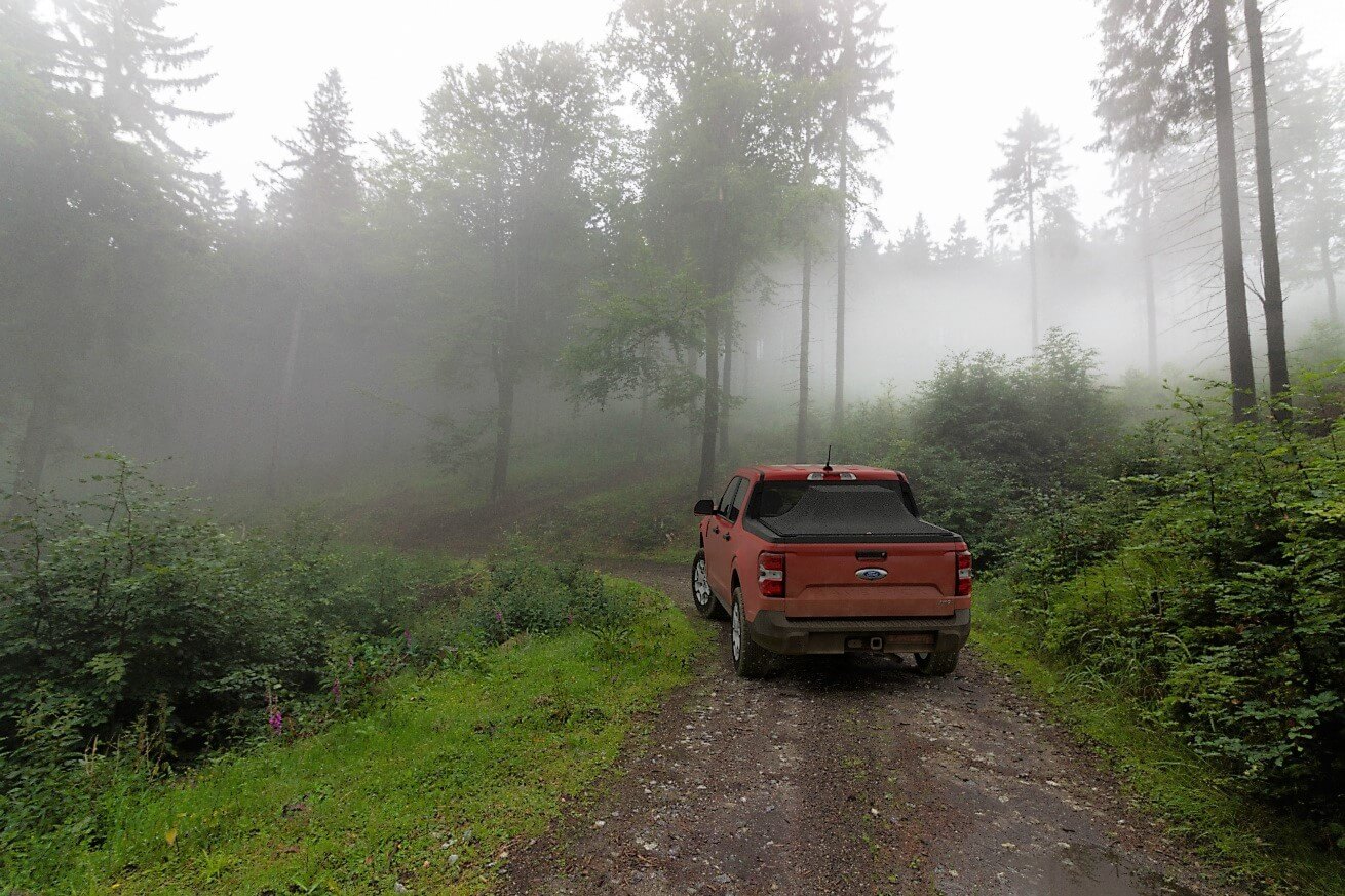 A red pickup truck drives along a narrow dirt road through a foggy forest with tall trees and green underbrush.